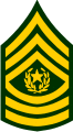 Army Command Sergeant Major E-9